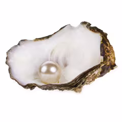 parel in een oester