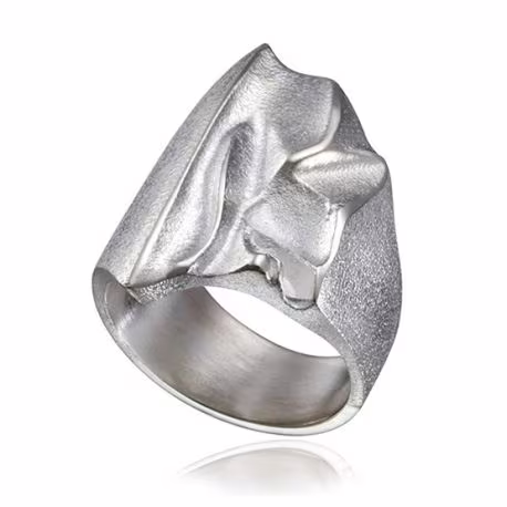 zilveren ring Kauris van Lapponia