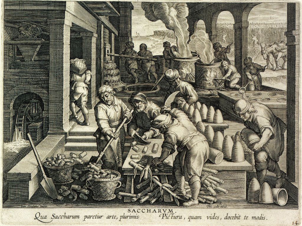 Suikerbroden maken in de 17e eeuw