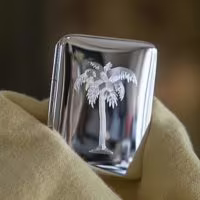 gegraveerde afbeelding van een palmboom op een zilveren pillendoosje