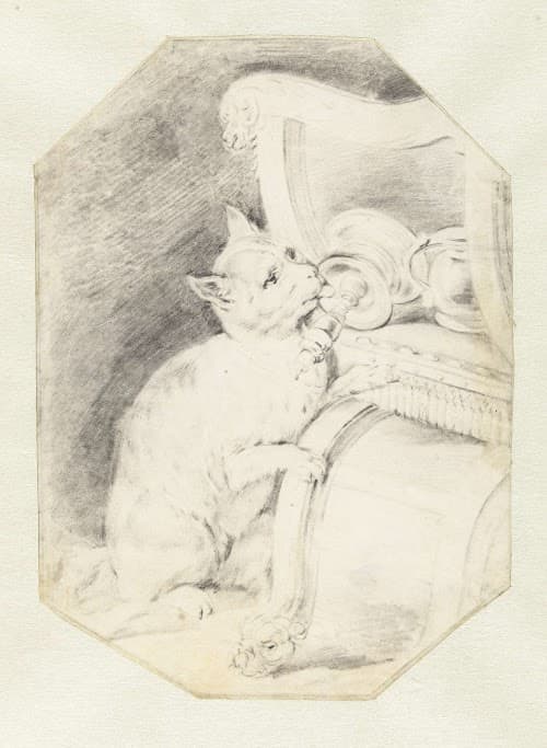 Antiek prent kat die aan kaarsvet likt Blog Zilver.nl