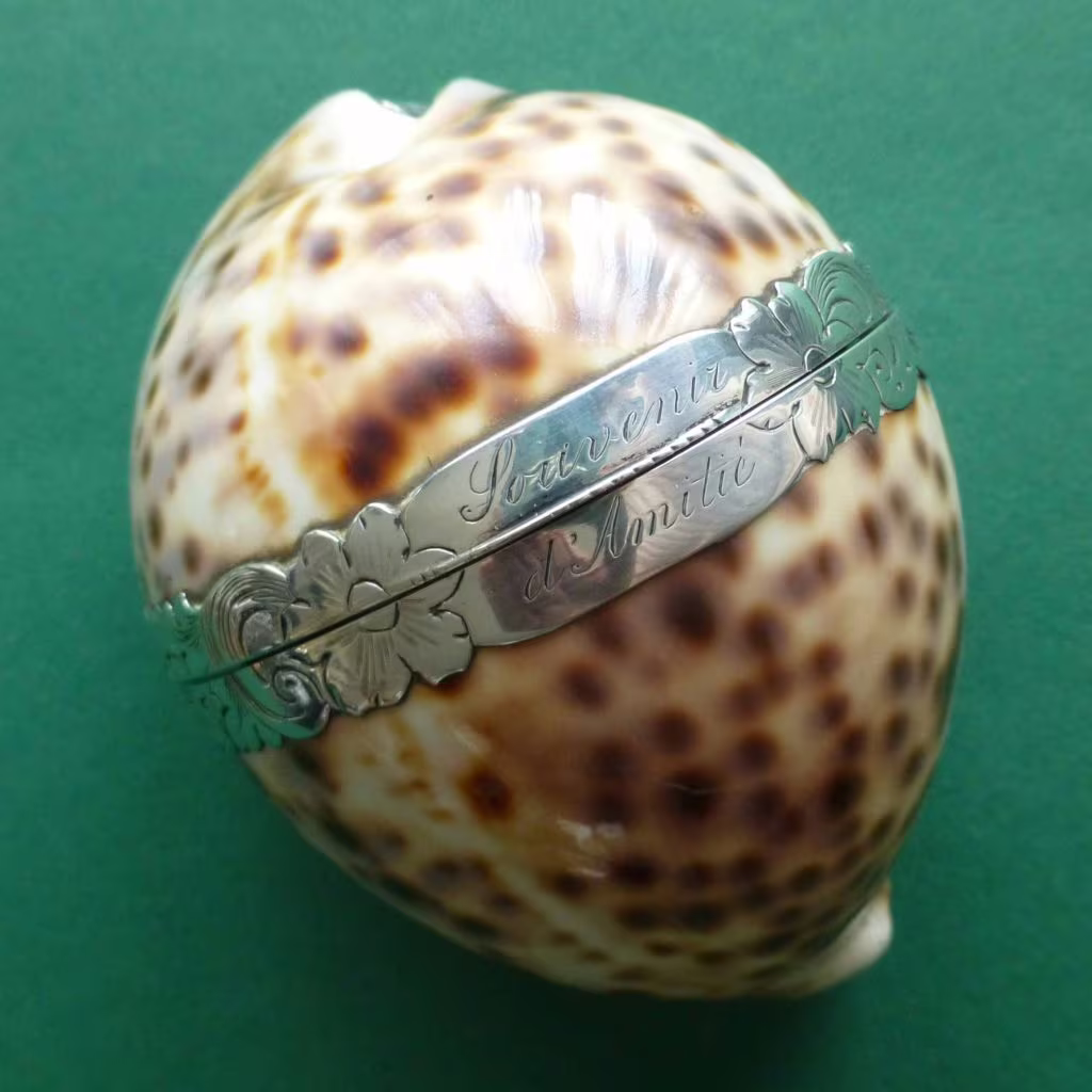 Schelp met als inhoud een zilver naaigarnituur Blog Zilver.nl